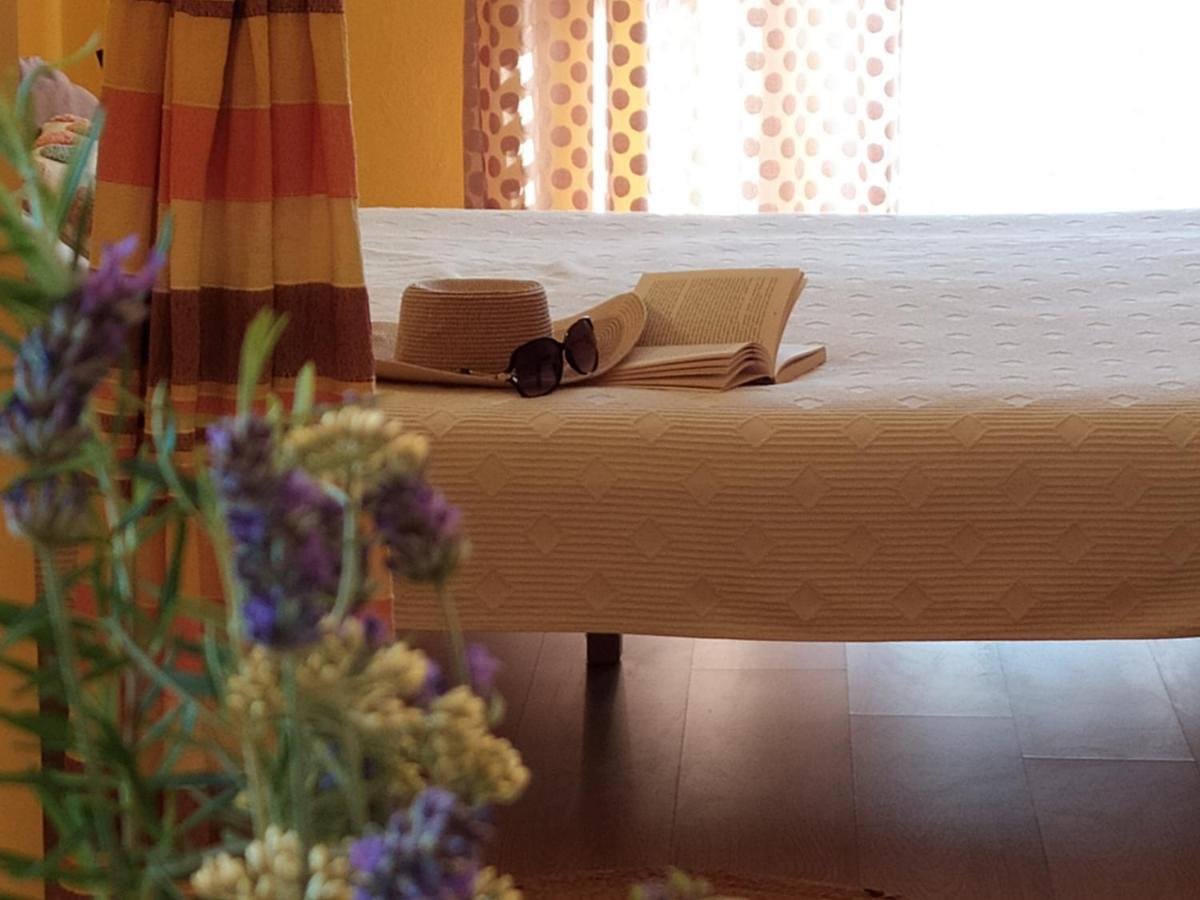 Cozy Apartments Danica Novalja With Terrace - First Floor Εξωτερικό φωτογραφία
