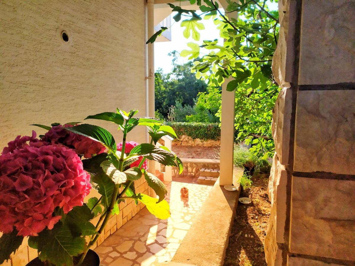 Cozy Apartments Danica Novalja With Terrace - First Floor Εξωτερικό φωτογραφία