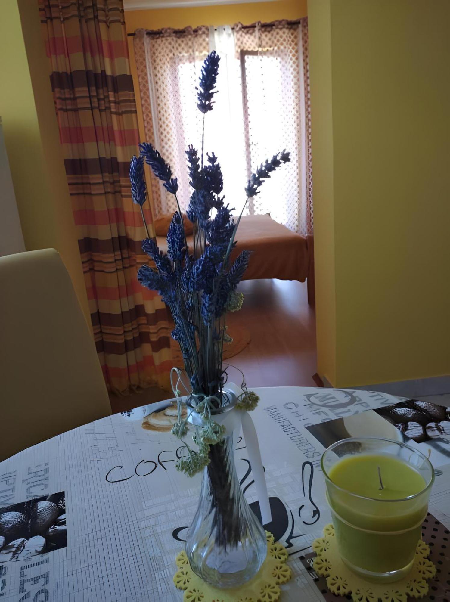Cozy Apartments Danica Novalja With Terrace - First Floor Εξωτερικό φωτογραφία