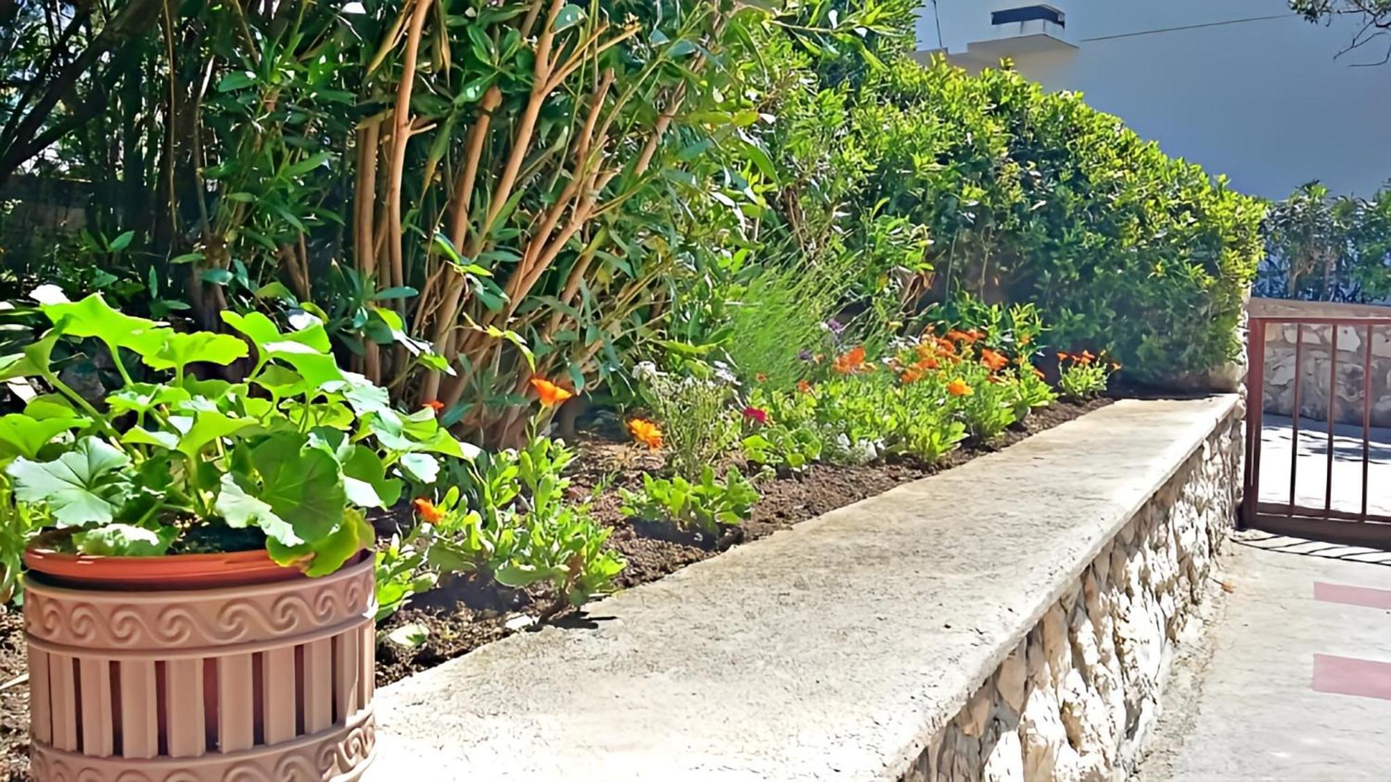 Cozy Apartments Danica Novalja With Terrace - First Floor Εξωτερικό φωτογραφία